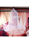 White Jumbo Dome Elegant Lace Bed Netting Canopy Mosquito Net